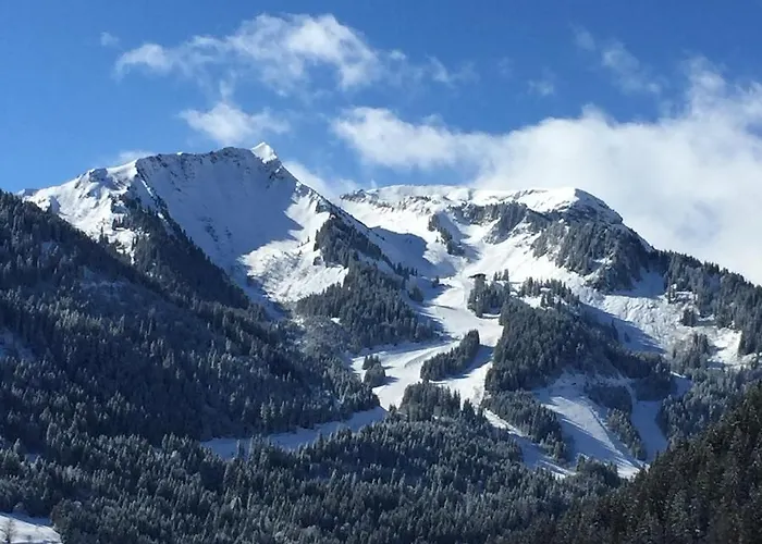 La Chaumiere - Luxury Traditional Chalet, Châtel